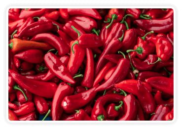 Andalusian Red Pepper