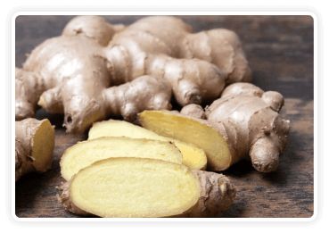 Himalayan Mountain Ginger
