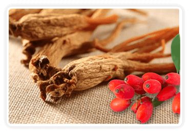 Berberine & Korean Red Ginseng